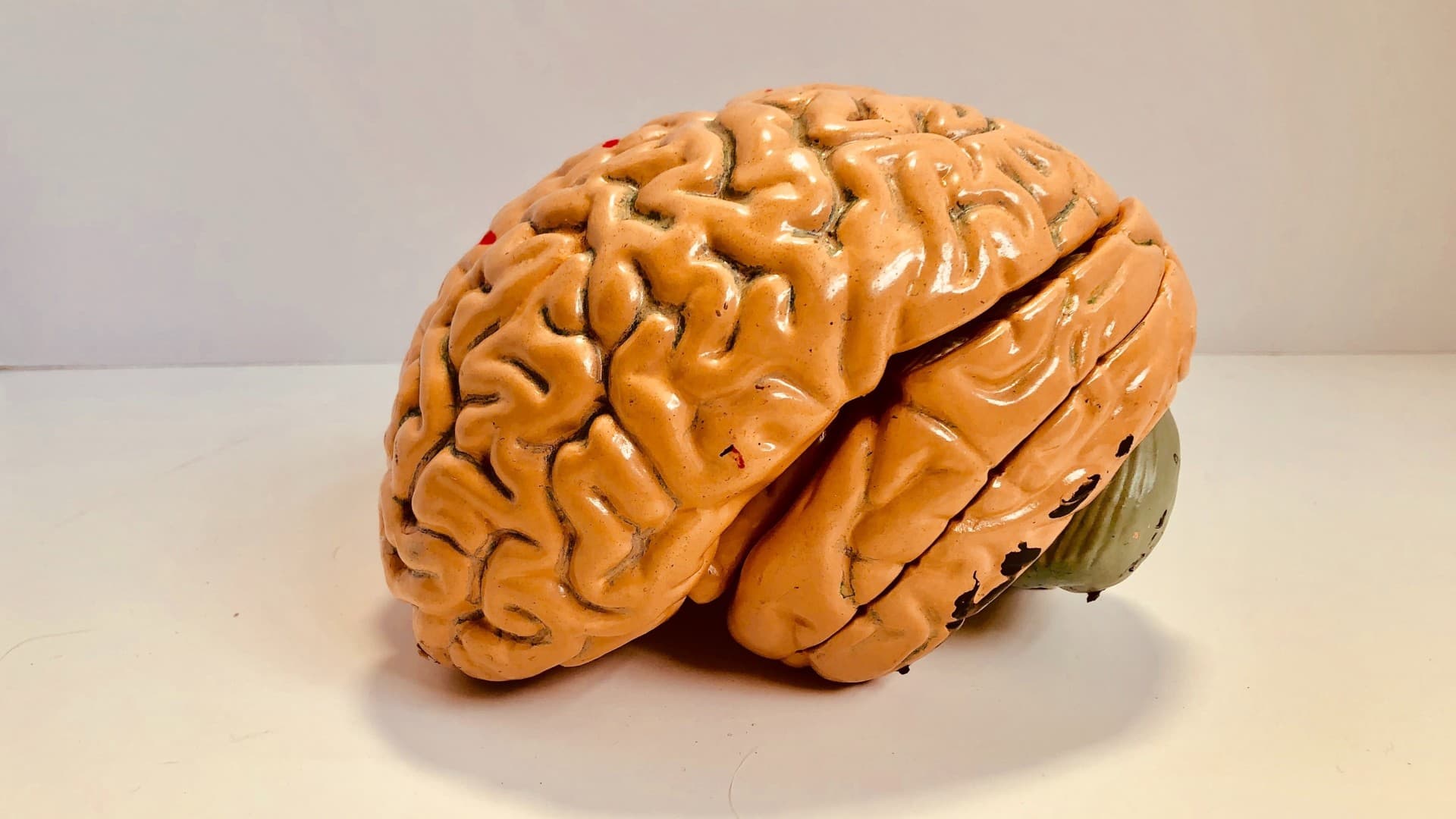 Food for Thought - What is Consciousness?